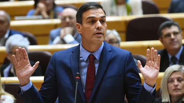 Los letrados del Senado confirman el «interés general» de la tesis de Sánchez por el «estatus» del autor