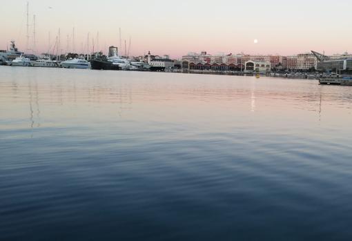 Imagen tomada este jueves en la Marina de Valencia