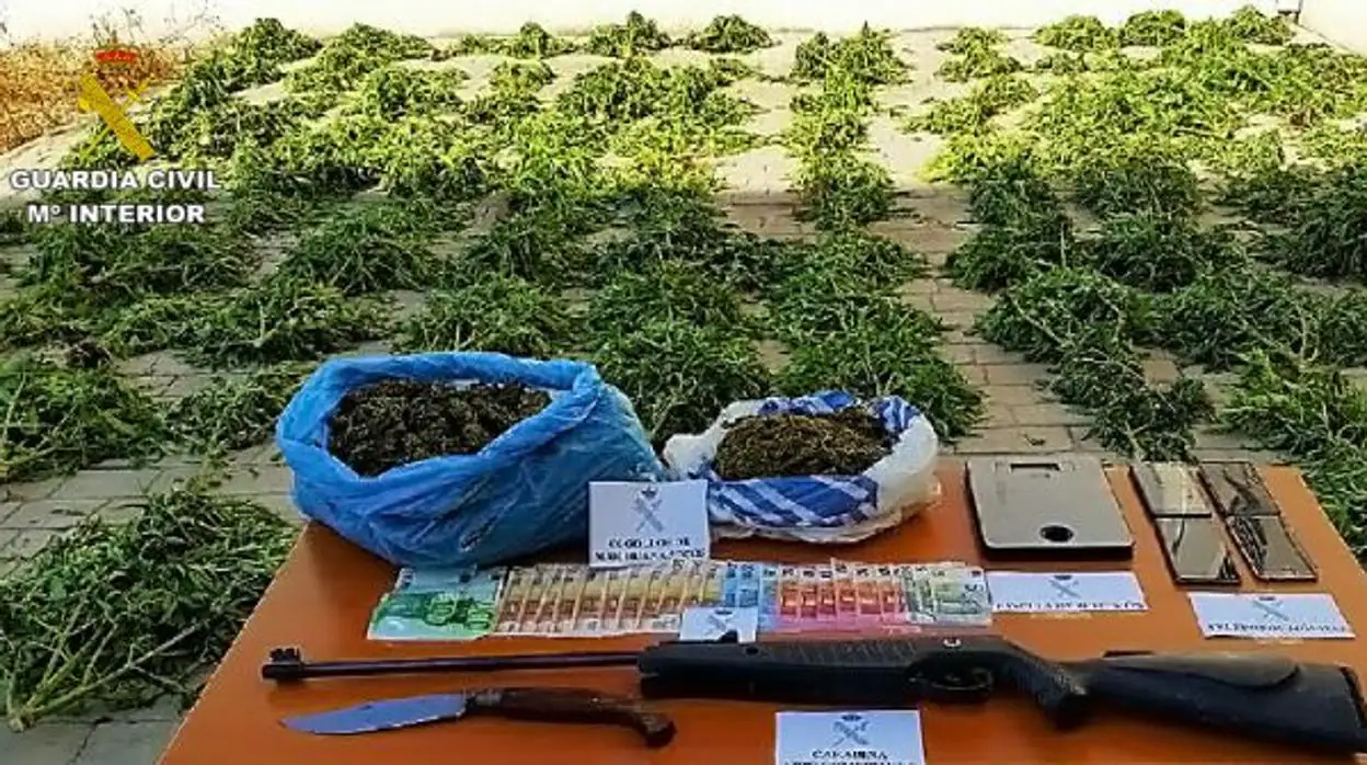 Un detenido y 360 kilos de marihuana intervenidos en Argamasilla de Alba