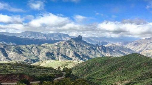 Las primeras fotos del nuevo manto verde de Canarias tras las lluvias