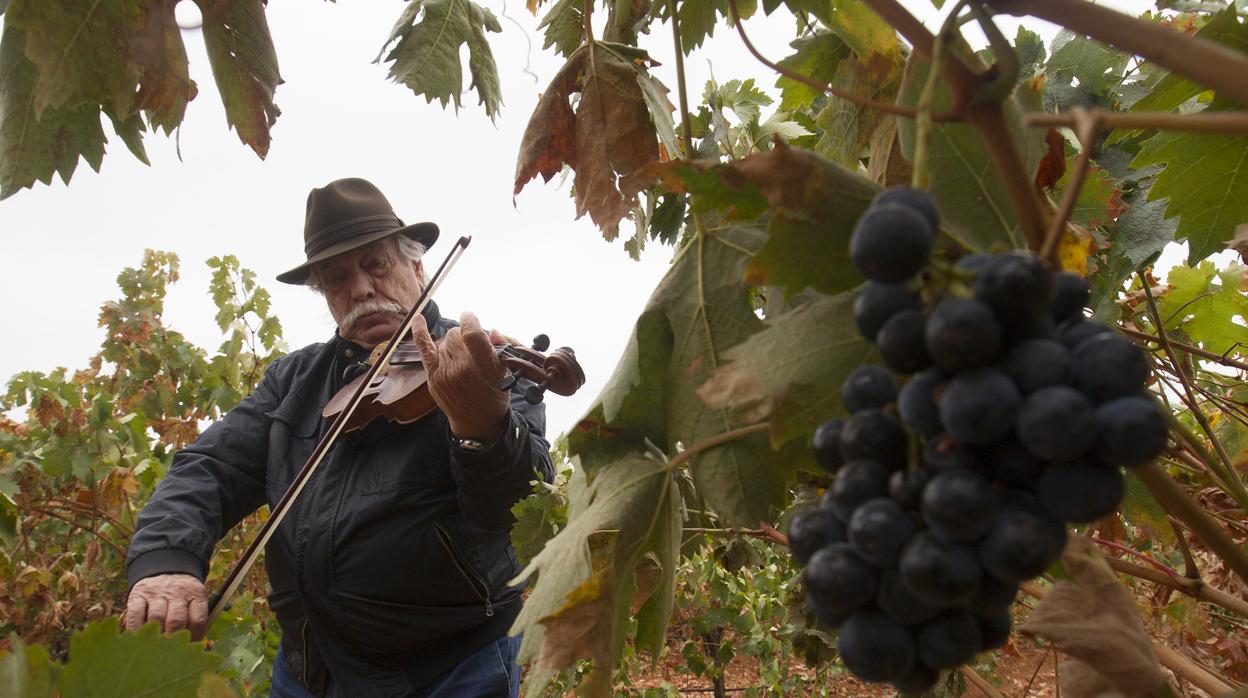 El bodeguero José Antonio Fernández toca el violín en medio de las cepas de su bodega
