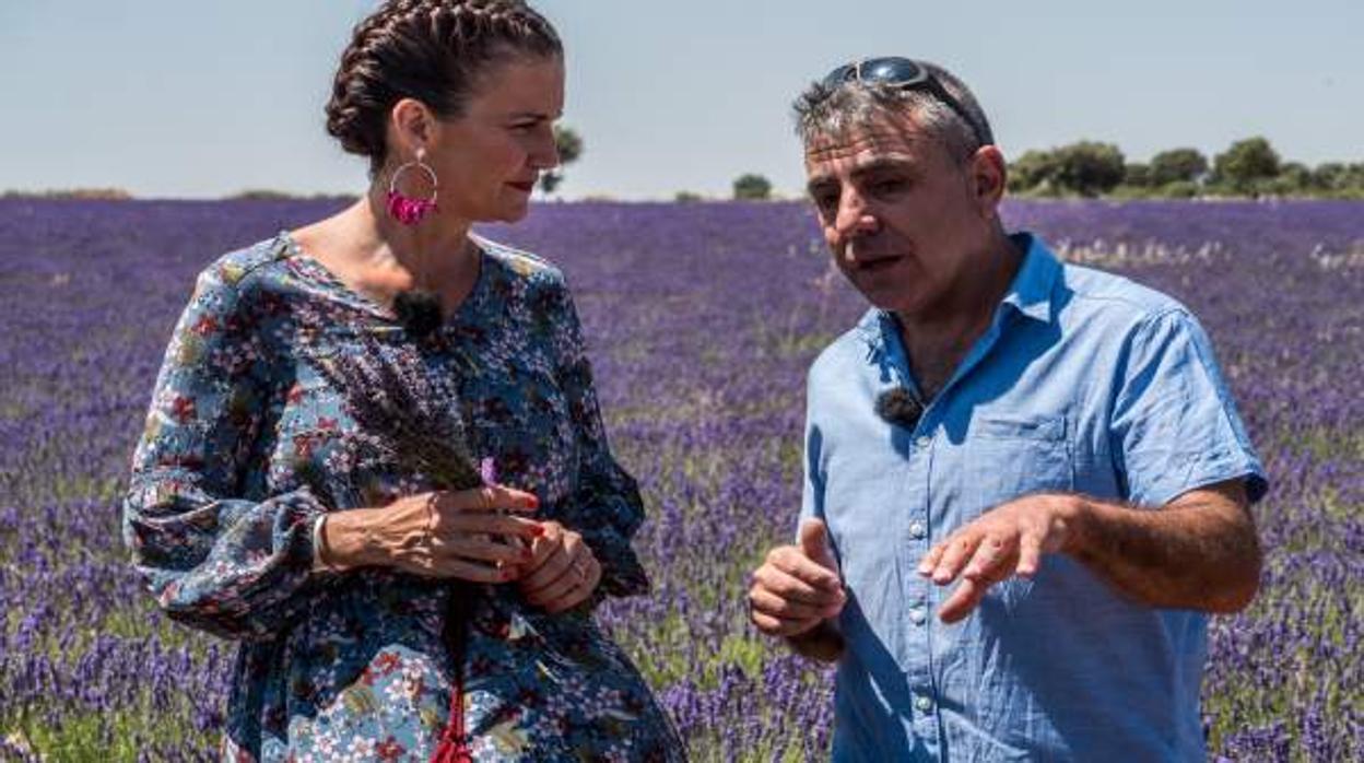 Samantha Vallejo-Nágera visitó los campos de lavanda