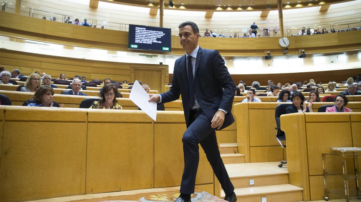 Imagen del presidente del Gobierno, Pedro Sánchez, en una sesión de control en el Senado