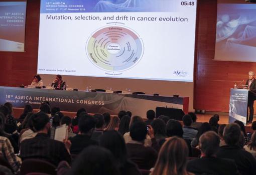 En el encuentro se han aportado datos de los últimos avances contra el cáncer