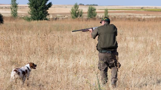 Un cazador de 64 años, herido por un disparo en el pecho en Almodóvar del Campo