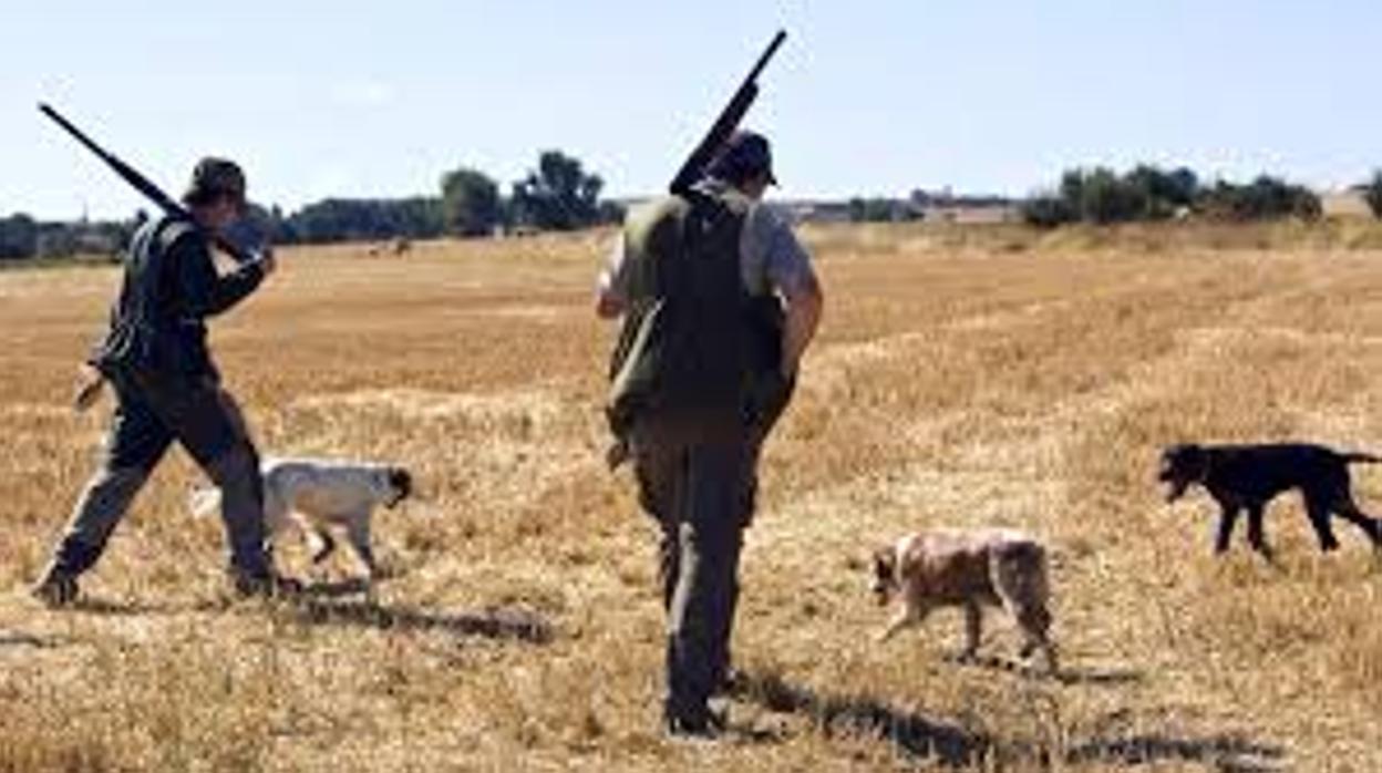 Dos cazadores, acompañados de sus perros, durante su jornada
