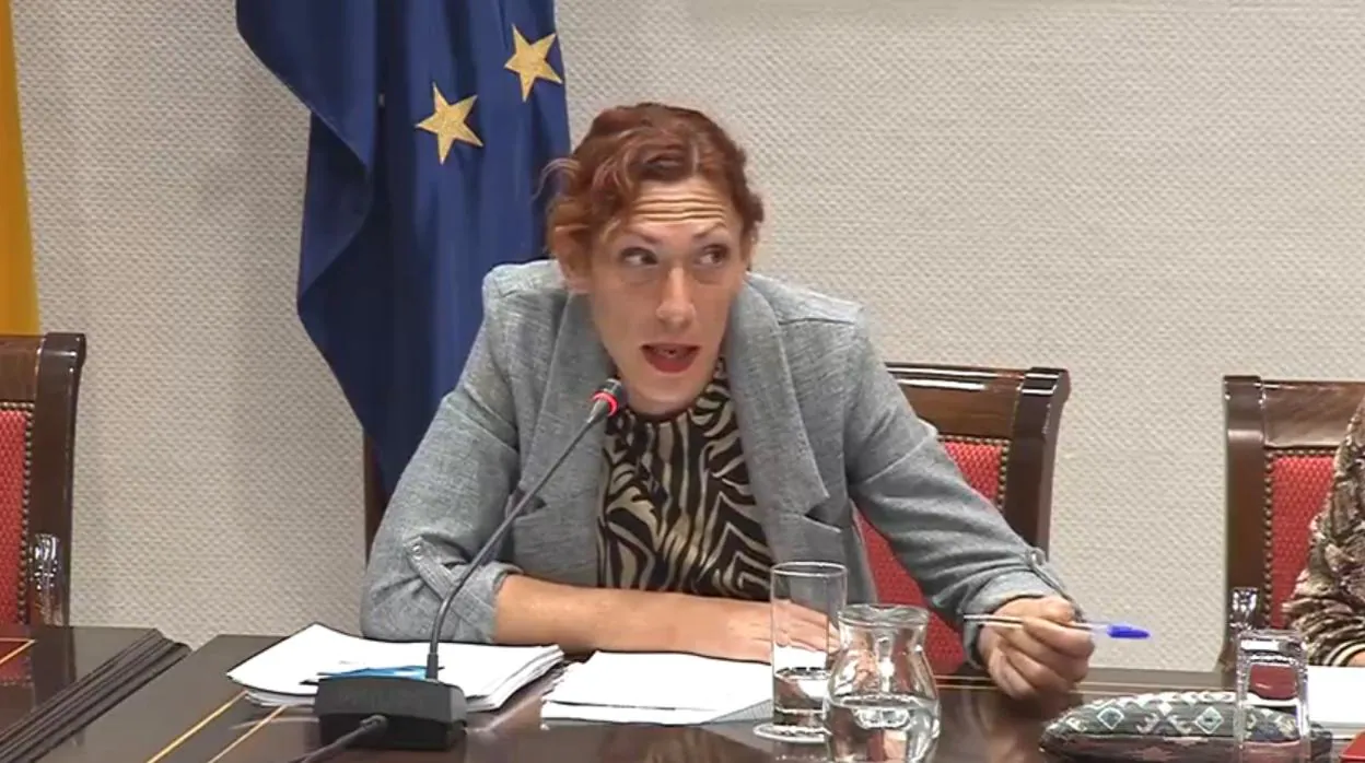 Una transexual en comisión parlamentaria: «tengo que salir a comer pollas para vivir»