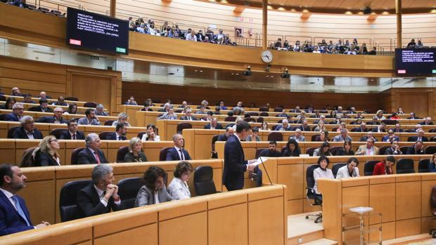 El PSOE acusa en el Senado al PP de «hundir sus raíces» en Franco