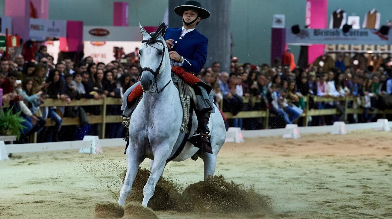 La VI Madrid Horse Week reúne este fin de semana a la élite nacional de salto y doma