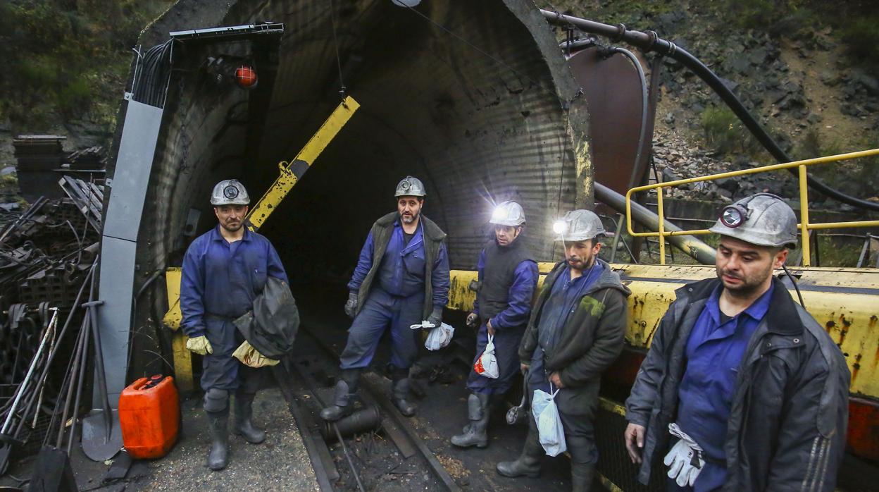 Los últimos cinco mineros del Bierzo momentos antes de su entrada al tajo en el pozo Salgueiro de Santa Cruz de Montes durante el último día de la minería del carbón en el Bierzo