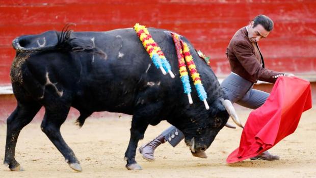 Podemos presiona en Valencia para poner fin a las corridas de toros