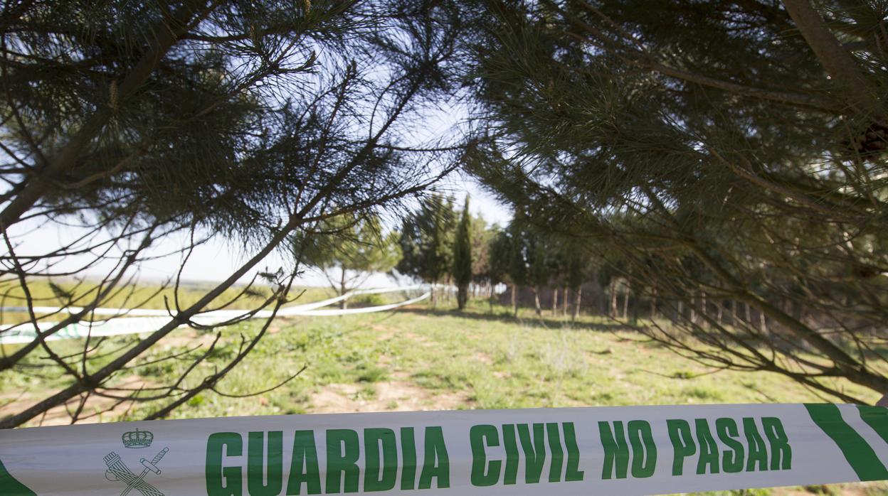 La joven fue asesinada cuando salió a dar un paseo por las afueras del pueblo