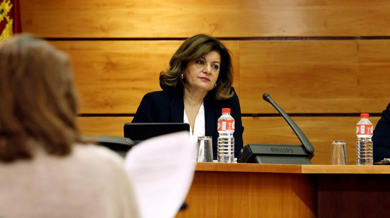 Carmen Amores, en la sala de comisiones de las Cortes de Castilla-La Mancha