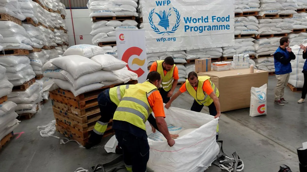 El WFP (ONU) de Canarias envía 11.500 toneladas de sorgo a Sudán del Sur