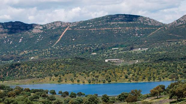 Denuncian que Mayasa está provocando graves daños en la Dehesa de Castilseras