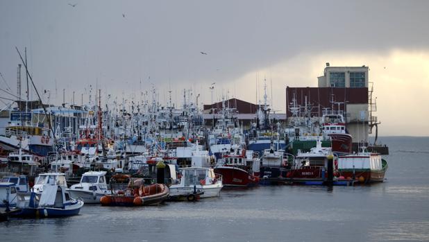 Galicia ve posible aumentar un 3% las capturas de merluza sur