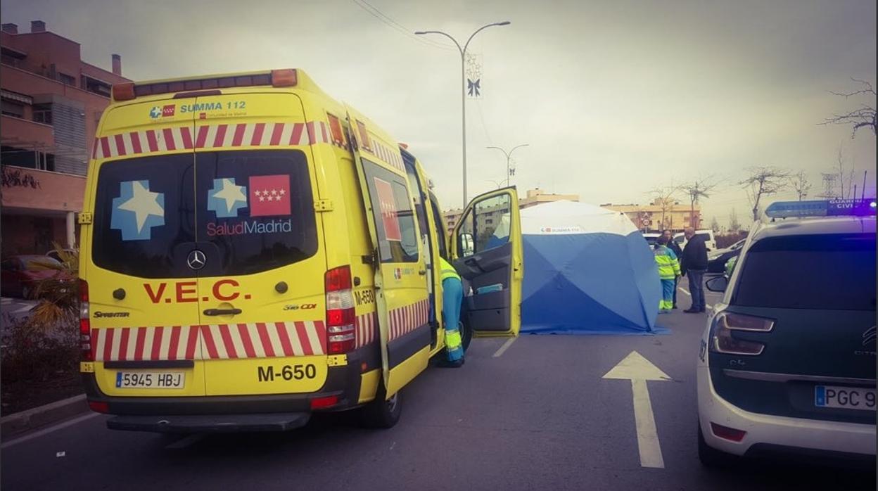 Sanitarios de Emergencias y efectivos de la Guardia Civil, en el lugar del atropello