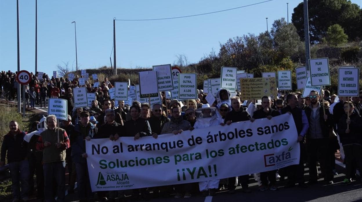 Manifestación de agricultores en la provincia de Alicante contra el arranque de almendros sanos