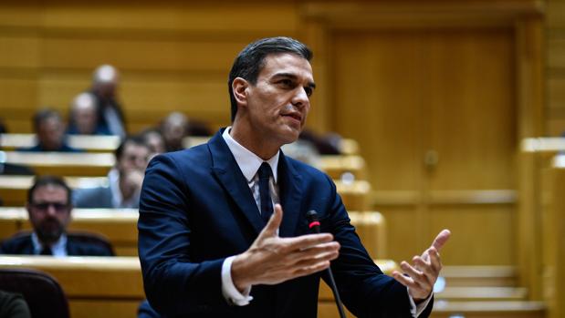 Pedro Sánchez comparece en el Senado, en directo