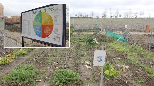 Los huertos urbanos llegan a Yebes en una nueva área recreativa antes de fin de año