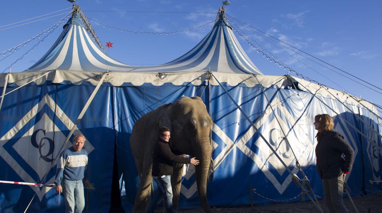 Imagen de los trabajadores de un circo con animales