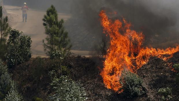 Galicia también arde en invierno