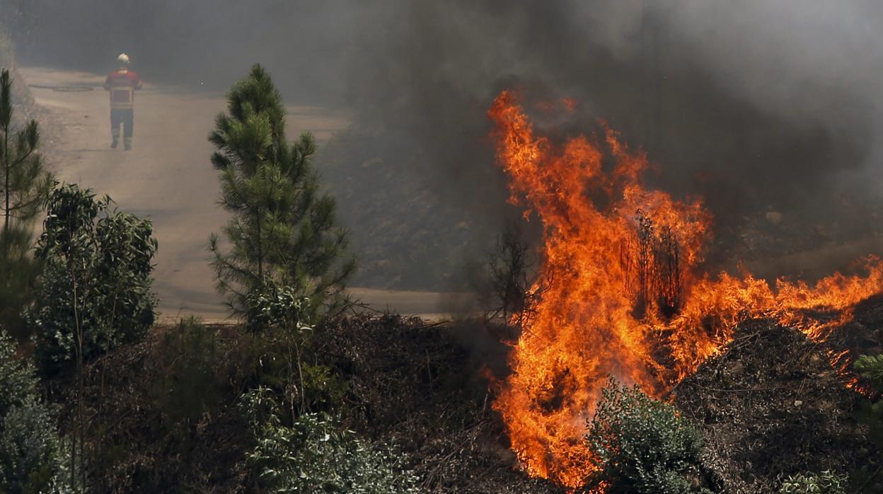 Las llamas calcinan matorral de un monte de Viana do Bolo (Orense), donde el fuego ha calcinado estos días 165 hectáreas