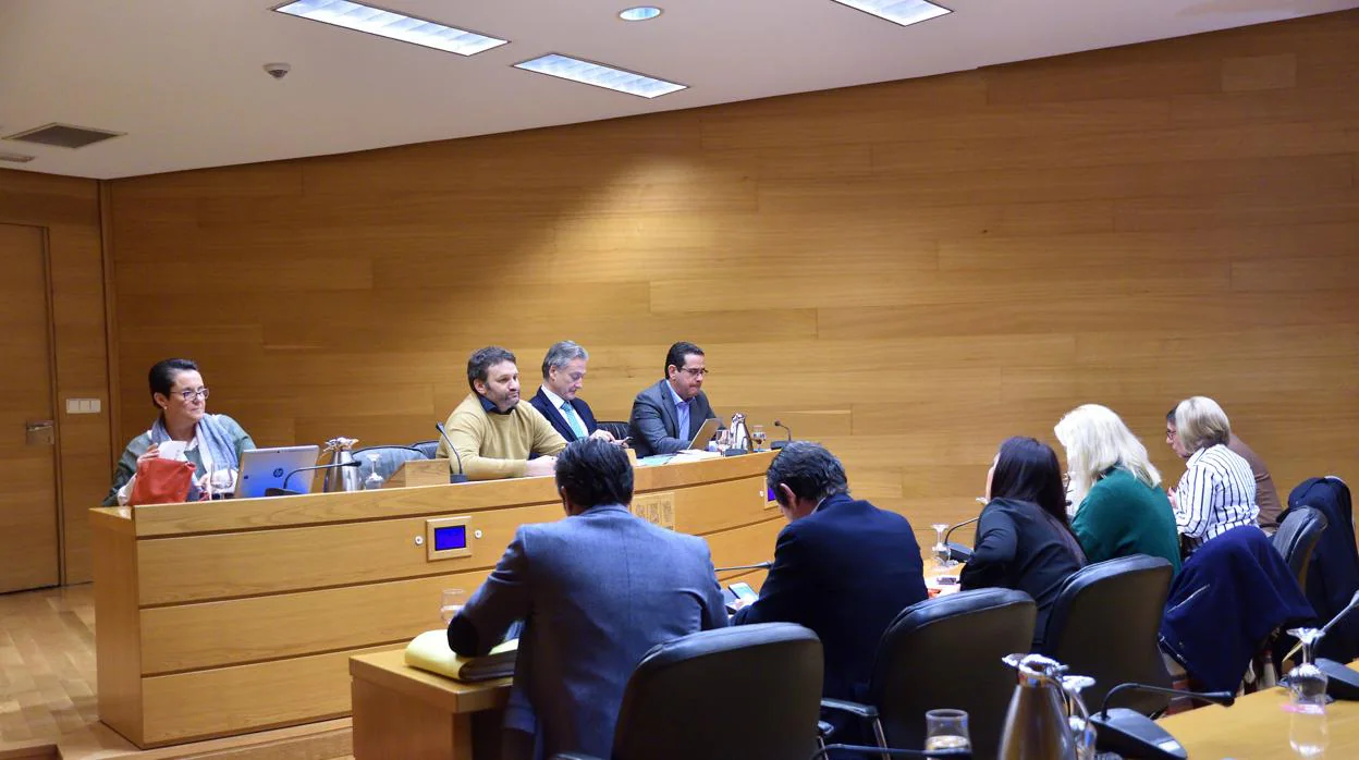 Imagen de la última sesión de la comisión en diciembre