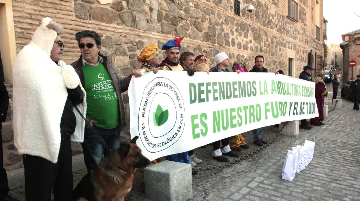 Los manifestantes, en Toledo este martes, junto al palacio de Fuensalida