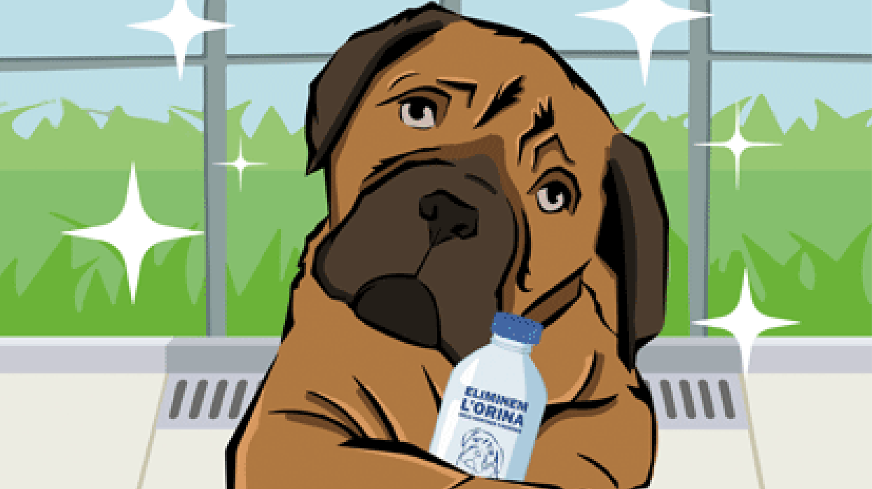 Cartel de la campaña de reparto gratuito de vinagre y agua para limpiar orines de perros