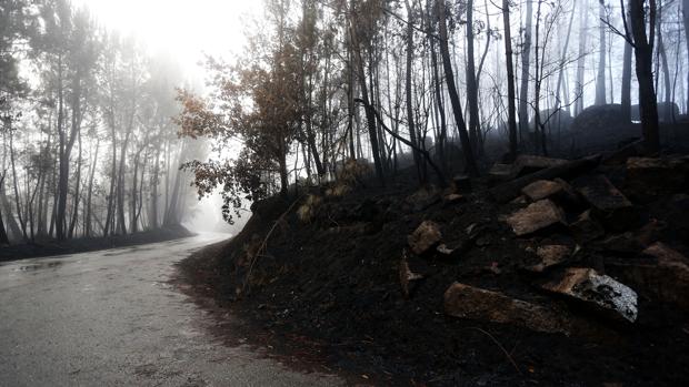 Incendios en invierno, el fuego que sucede al hielo