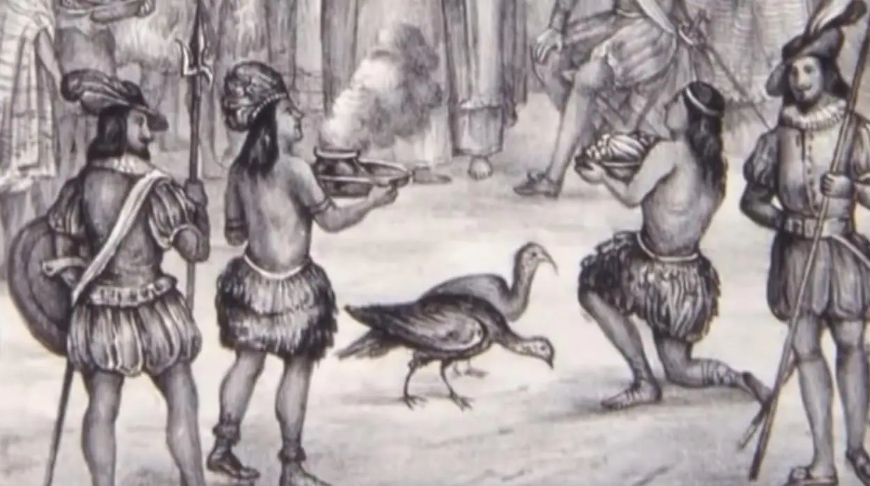 Las aves que llegaron a América tras la Conquista de Canarias