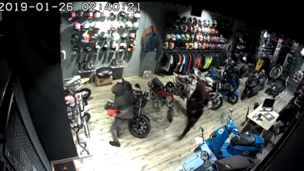 Vídeo: Así se robó en una tienda en Gran Canaria