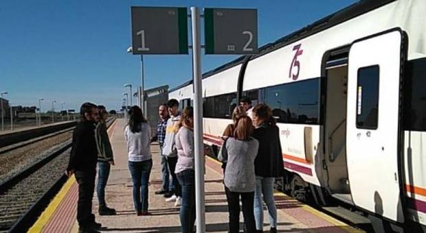 El talgo Badajoz-Madrid arrolla un rebaño de ovejas entre Cáceres y Toledo