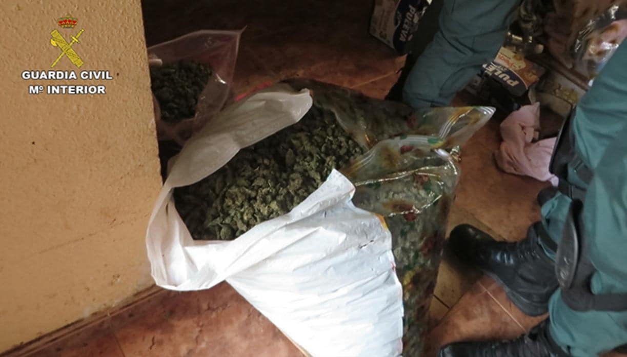 Veinticinco kilos de marihuana ya estaban preparados para su distribución