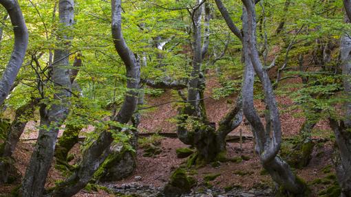 Cinco lugares de Castilla y León donde desearías perderte este San Valentín