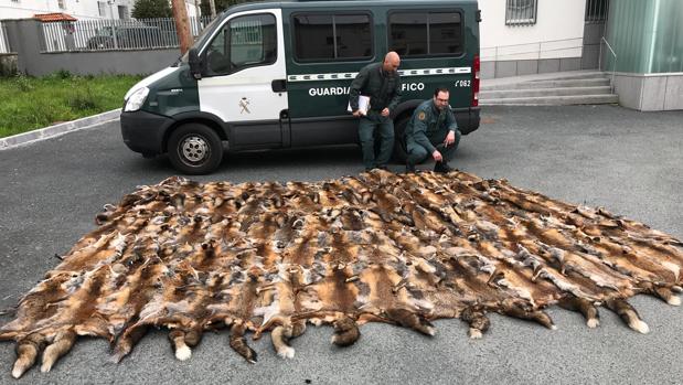 Descubren 87 pieles de zorro en una furgoneta durante un control de tráfico