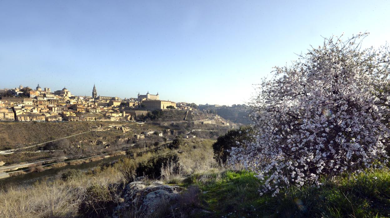 Almendro en flor en el Valle, con Toledo al fondo