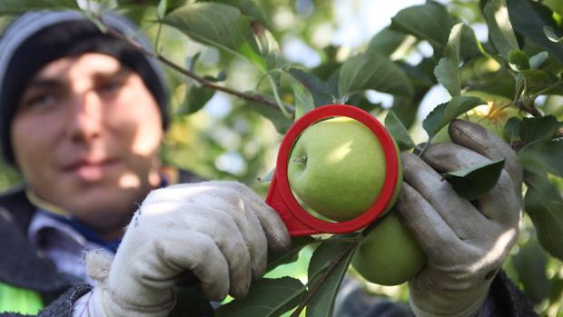 Aragón se ha gastado 90 millones de euros en captar 1.200 jóvenes agricultores