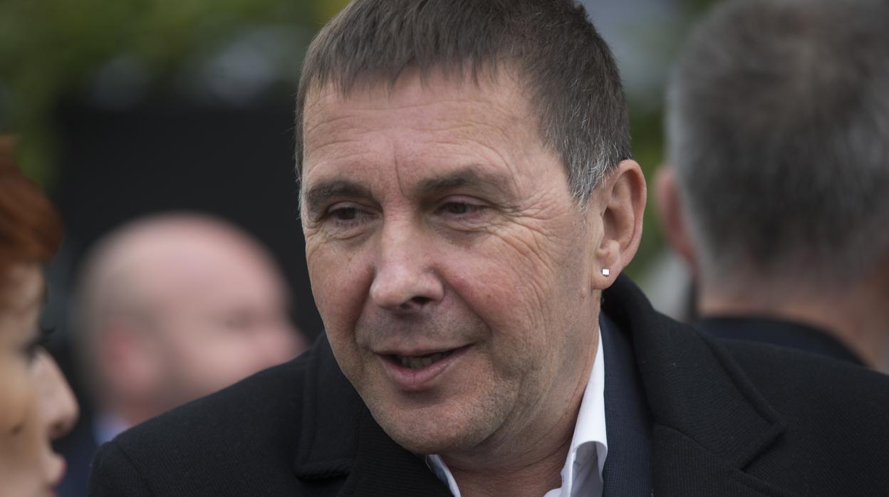 Arnaldo Otegi, coordinador general de EH Bildu