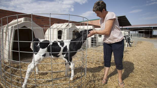 Las mujeres rurales denuncian ante el 8 de Marzo que sufren una doble discriminación