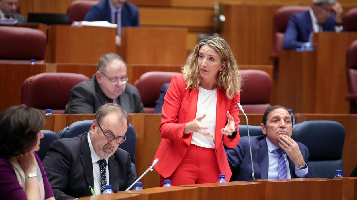 Alicia García, durante el pleno de las Cortes