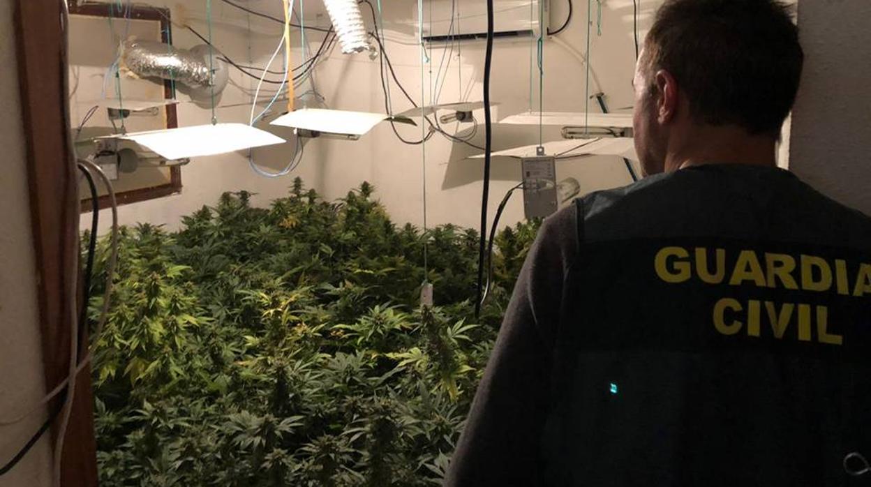 Habitación de la casa que la familia dedicaba en exclusiva a cultivar marihuana en abundancia