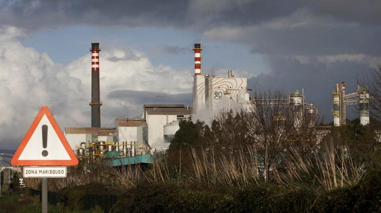 Factoría de celulosa de Ence situada en el litoral público en la ría de Pontevedra