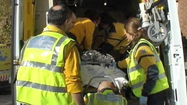 Muere electrocutado mientras podaba el árbol de un chalé en Colmenar Viejo