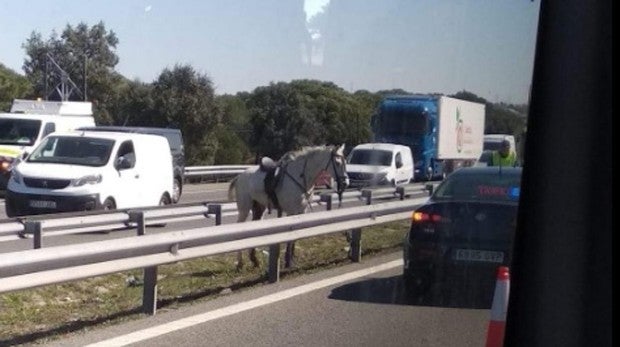 Un caballo desbocado provoca graves retenciones en la A-5