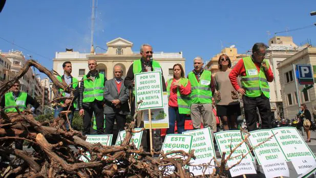 Protesta de agricultores al dispararse hasta un 135% el coste del seguro para la uva del Vinalopó
