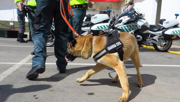 La Guardia Civil libera a un secuestrado y lo detiene en el acto por una causa pendiente