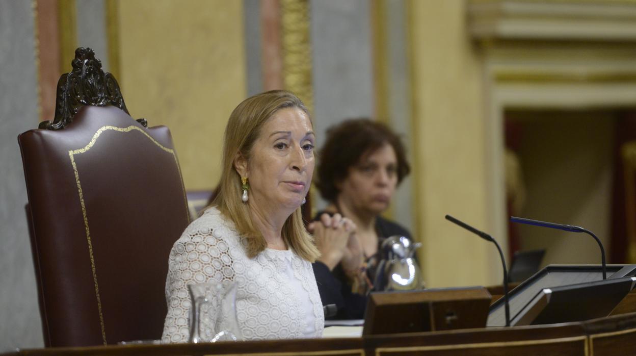 Ana Pastor, la presidenta del Congreso, en un pleno de la anterior legislatura