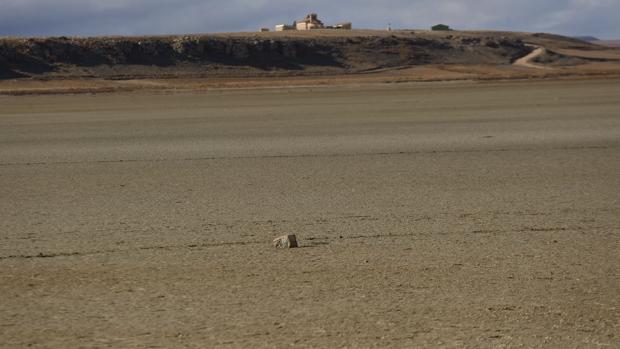 La desertización ya amenaza a un tercio de Aragón, azotado por una creciente aridez climática